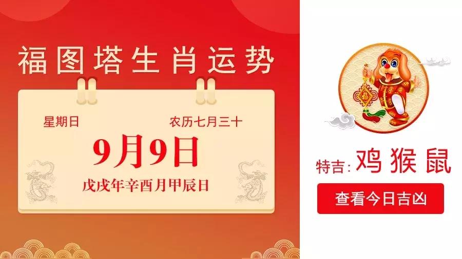 生肖鼠8月3日运势解析,猴年生肖鼠的运势如何