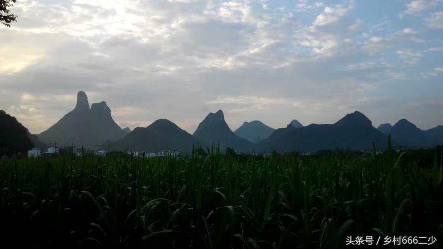 平凡之路赏析,平凡之路赏析及感悟