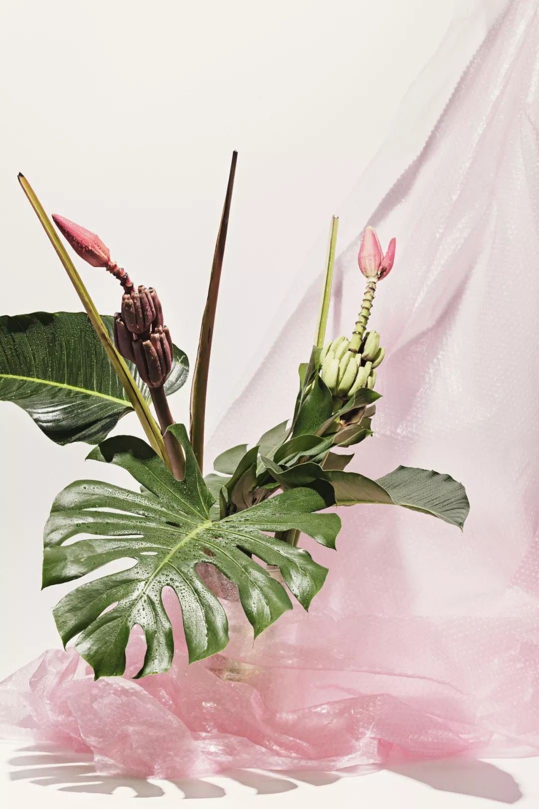 世界上最好的小花店,文艺复古小花店