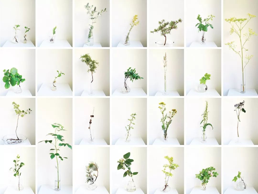 世界上最好的小花店,文艺复古小花店