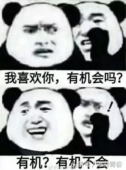 我们是受过专业训练的表情包,我们都受过专业的训练表情包