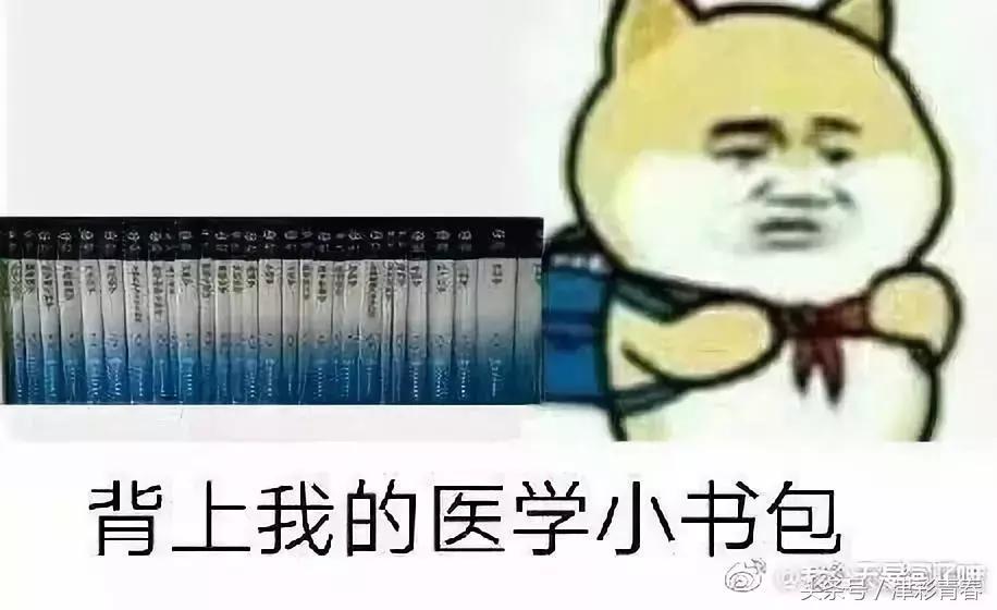 我们是受过专业训练的表情包,我们都受过专业的训练表情包