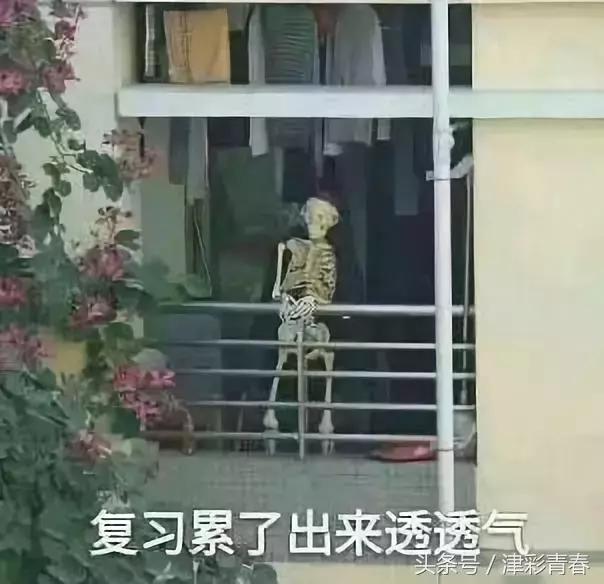 我们是受过专业训练的表情包,我们都受过专业的训练表情包