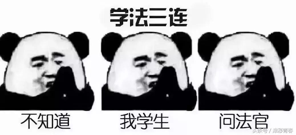 我们是受过专业训练的表情包,我们都受过专业的训练表情包