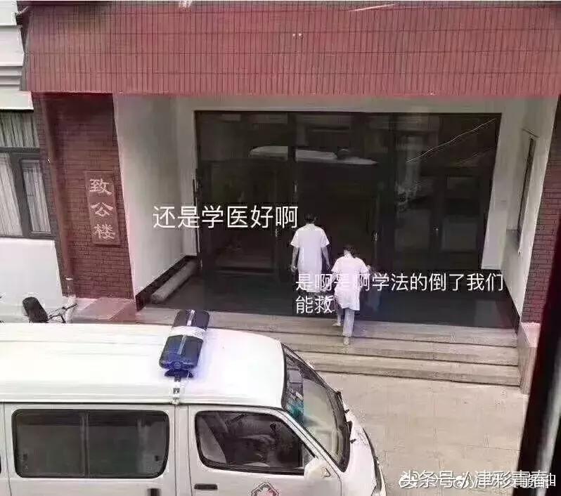 我们是受过专业训练的表情包,我们都受过专业的训练表情包
