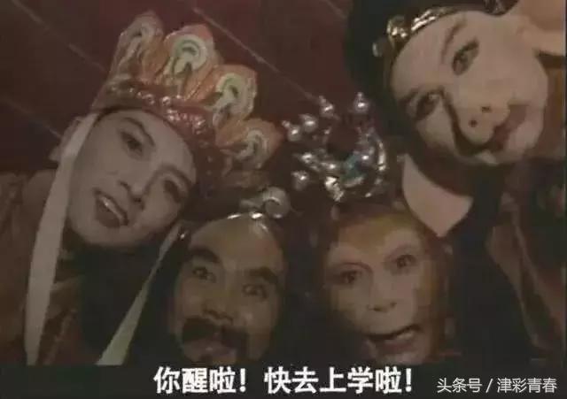 我们是受过专业训练的表情包,我们都受过专业的训练表情包