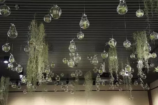 植物窗帘图案,植物窗帘效果图大全