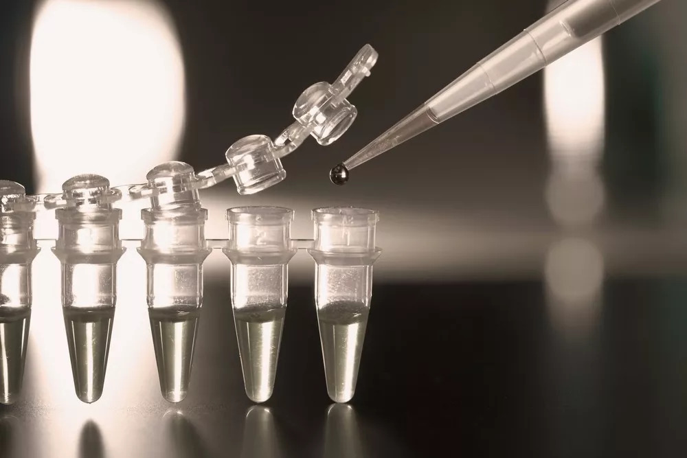 科普：关于干细胞，你应该知道什么？