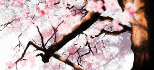 女主重生的甜宠文小说推荐,特别出名的女主重生宠文推荐