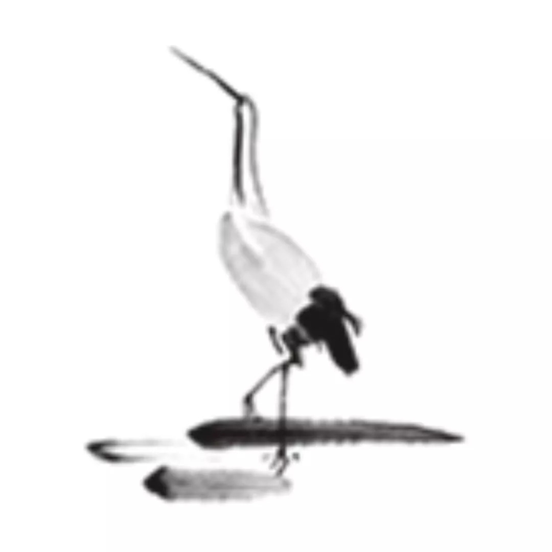 白露至秋意浓天气渐凉早晚添衣,今日白露秋意浓浓天变凉