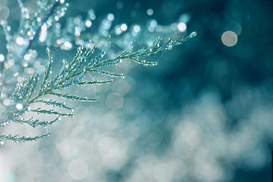 100句秋天的句子,100首关于秋天的最美诗词