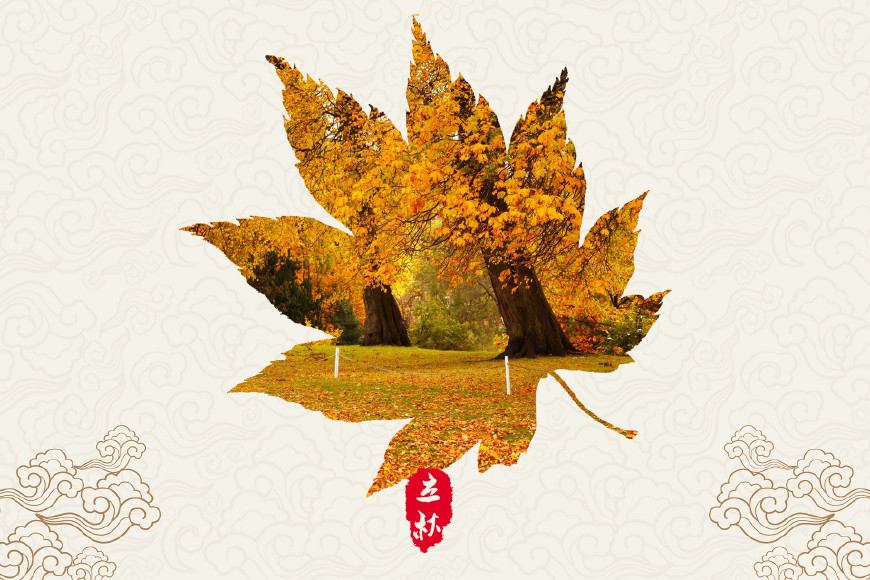 100句秋天的句子,100首关于秋天的最美诗词