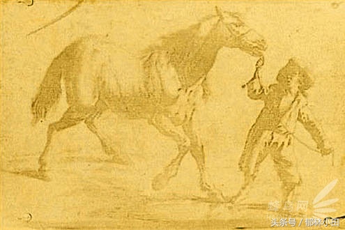 相机的发展历史,照相机历程