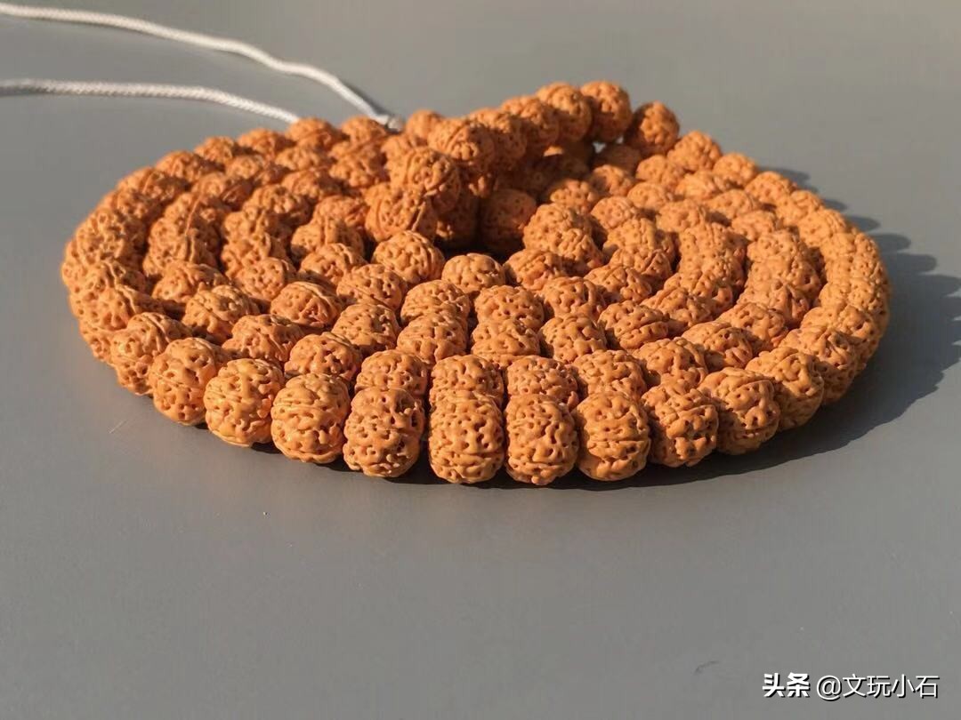 金刚菩提入门知识,新手必备,掌握了三言两语就能让别人刮目!