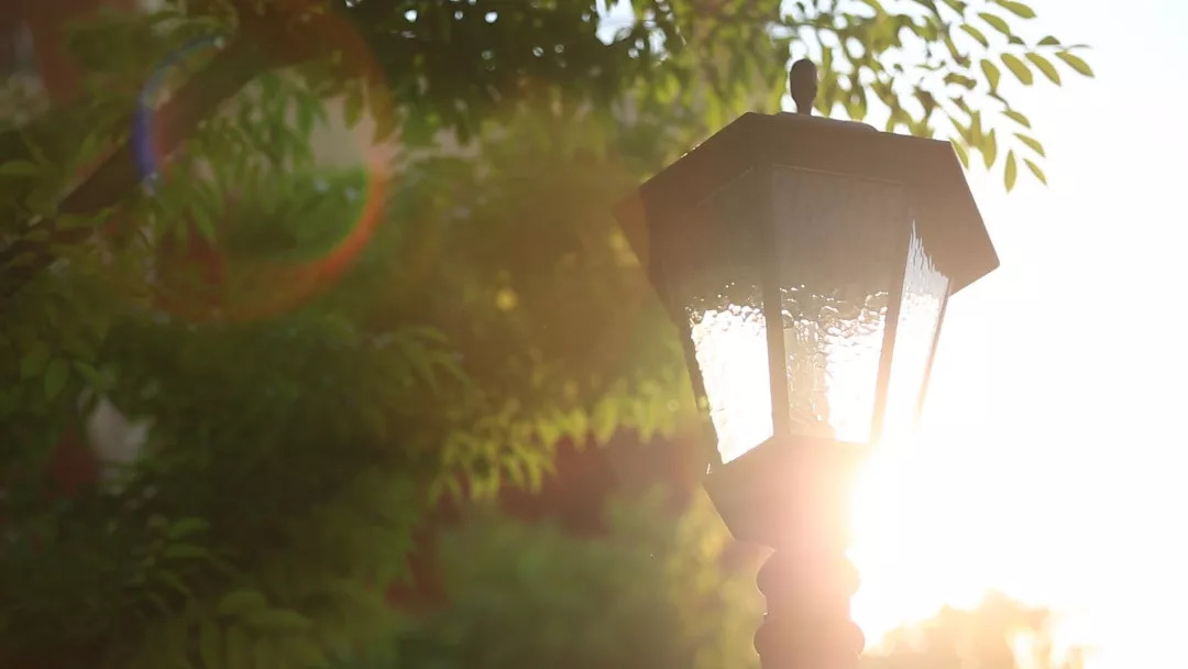临港什么时候通火车,临港近期有什么活动