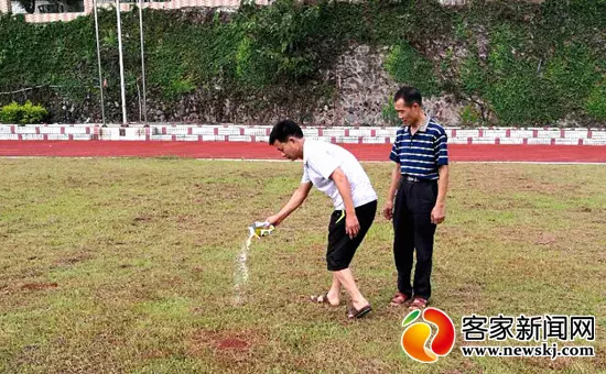 红火蚁的防治方法,红火蚁危害大专家支招防控技巧