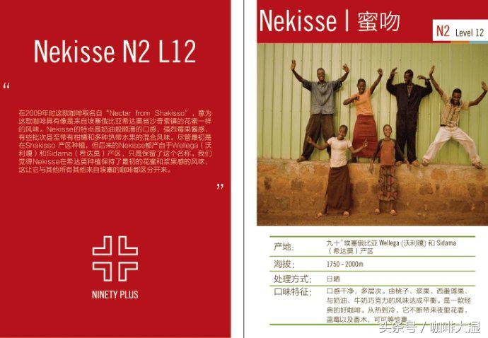 咖啡的概述和知识,咖啡术语基础知识