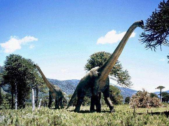 恐龙为什么如此巨大,恐龙为什么能长那么大的原因