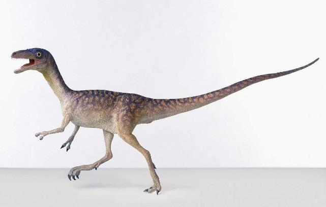 恐龙为什么如此巨大,恐龙为什么能长那么大的原因