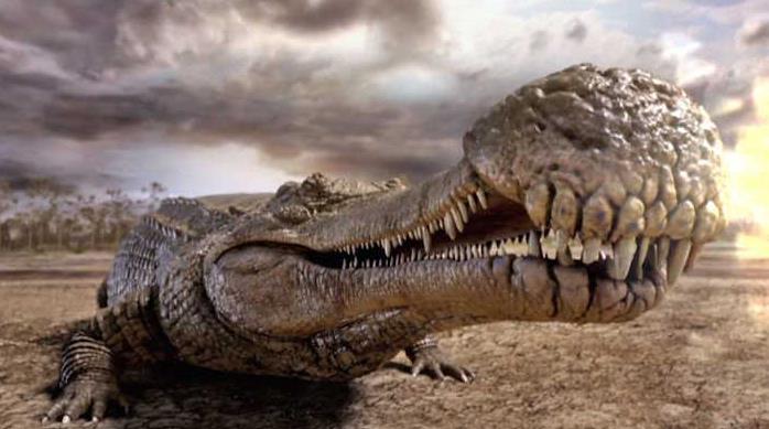 恐龙为什么如此巨大,恐龙为什么能长那么大的原因