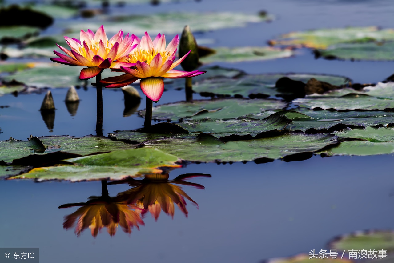 广东潮汕风水大全,潮汕的风水讲究