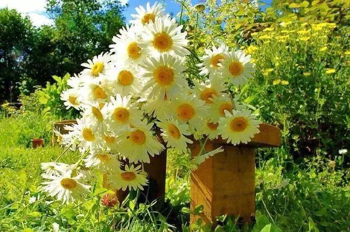 名人名言手抄报50句,励志名人名言经典100句文案