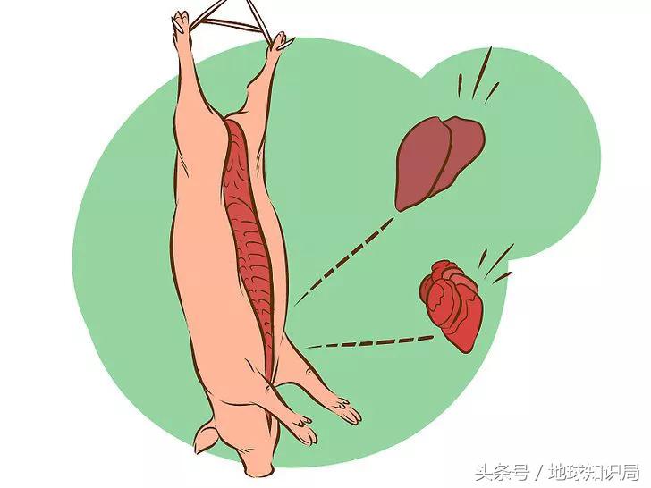 为什么德国人爱吃香肠,德国人对猪肉的喜爱