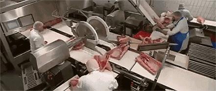 为什么德国人爱吃香肠,德国人对猪肉的喜爱