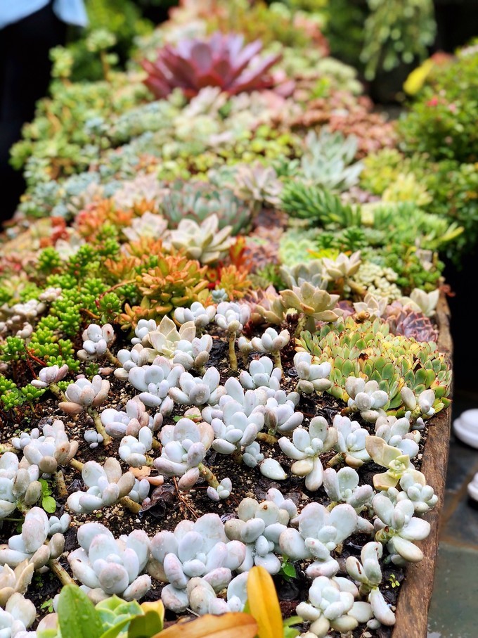 我是云南人搞笑视频,昆明大理腾冲视频