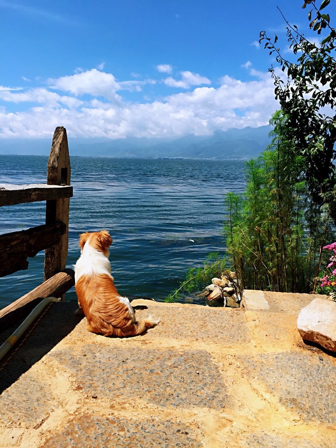 我是云南人搞笑视频,昆明大理腾冲视频