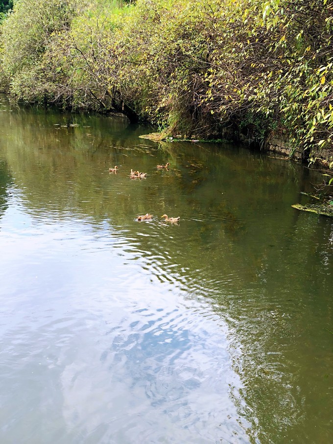 我是云南人搞笑视频,昆明大理腾冲视频