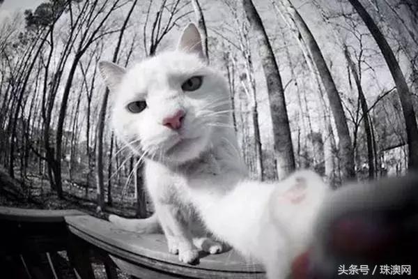 珠海中年少女的15个标签,你中了几个?