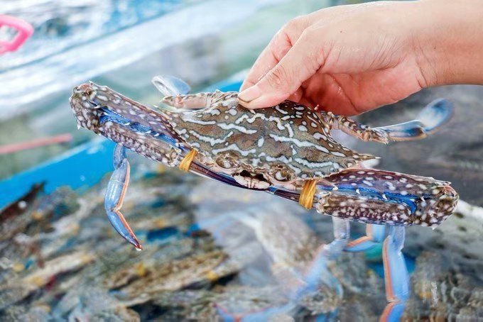 四人海口行，吃喝玩乐心情无限好