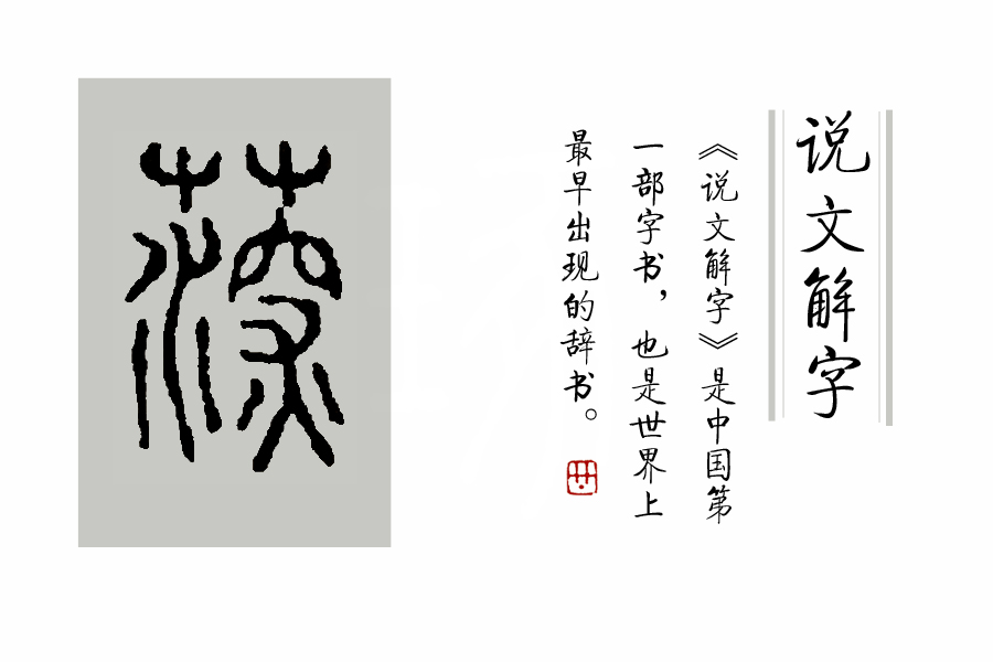 《说文解字》第53课：“茥”这个字，原来指这种适合男人吃的水果