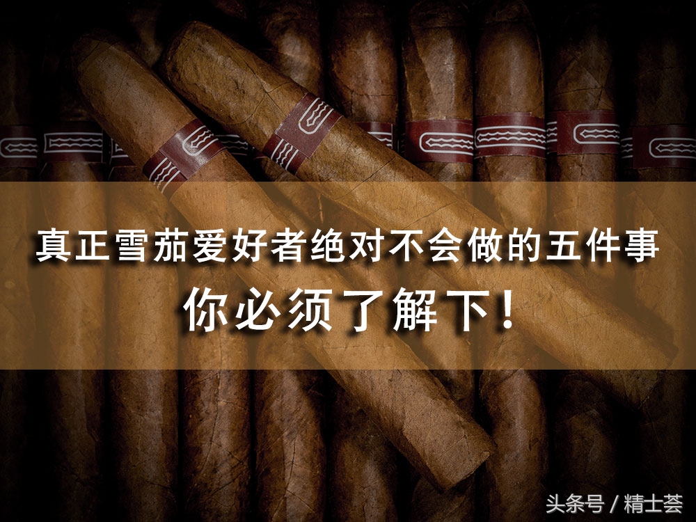 真正雪茄,雪茄你不知道的冷知识
