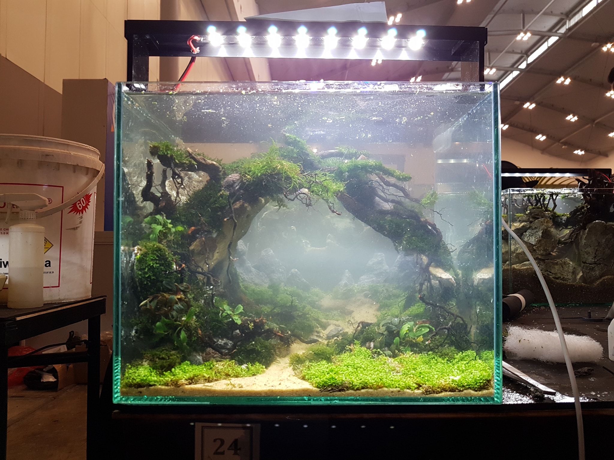 十大草缸经典造型,草缸的100种造型