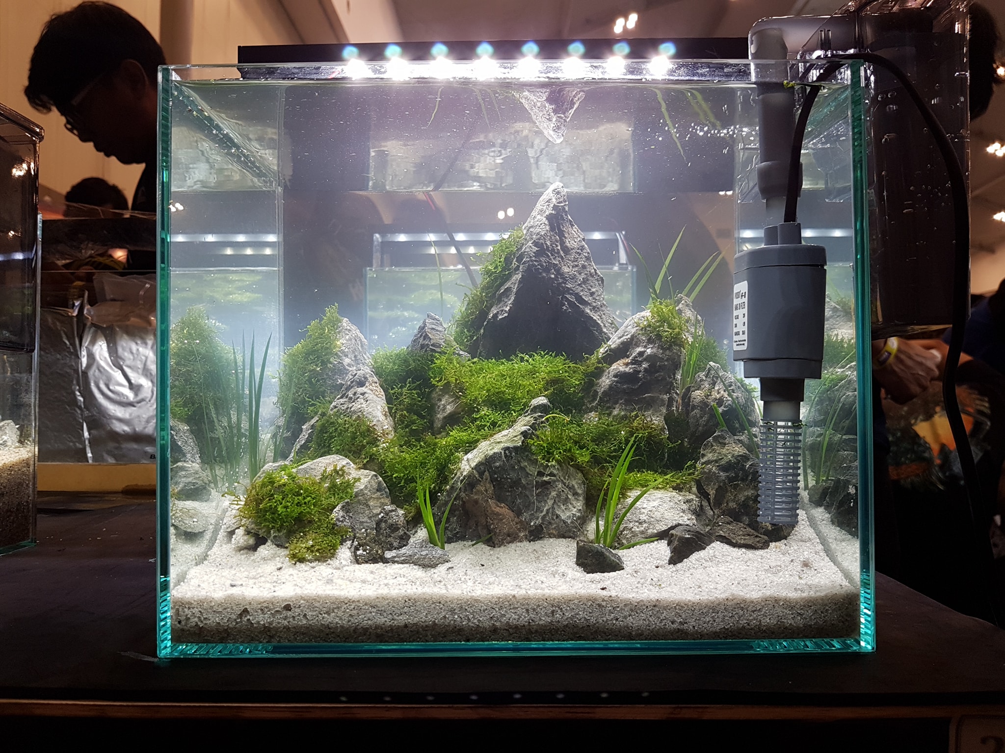 十大草缸经典造型,草缸的100种造型