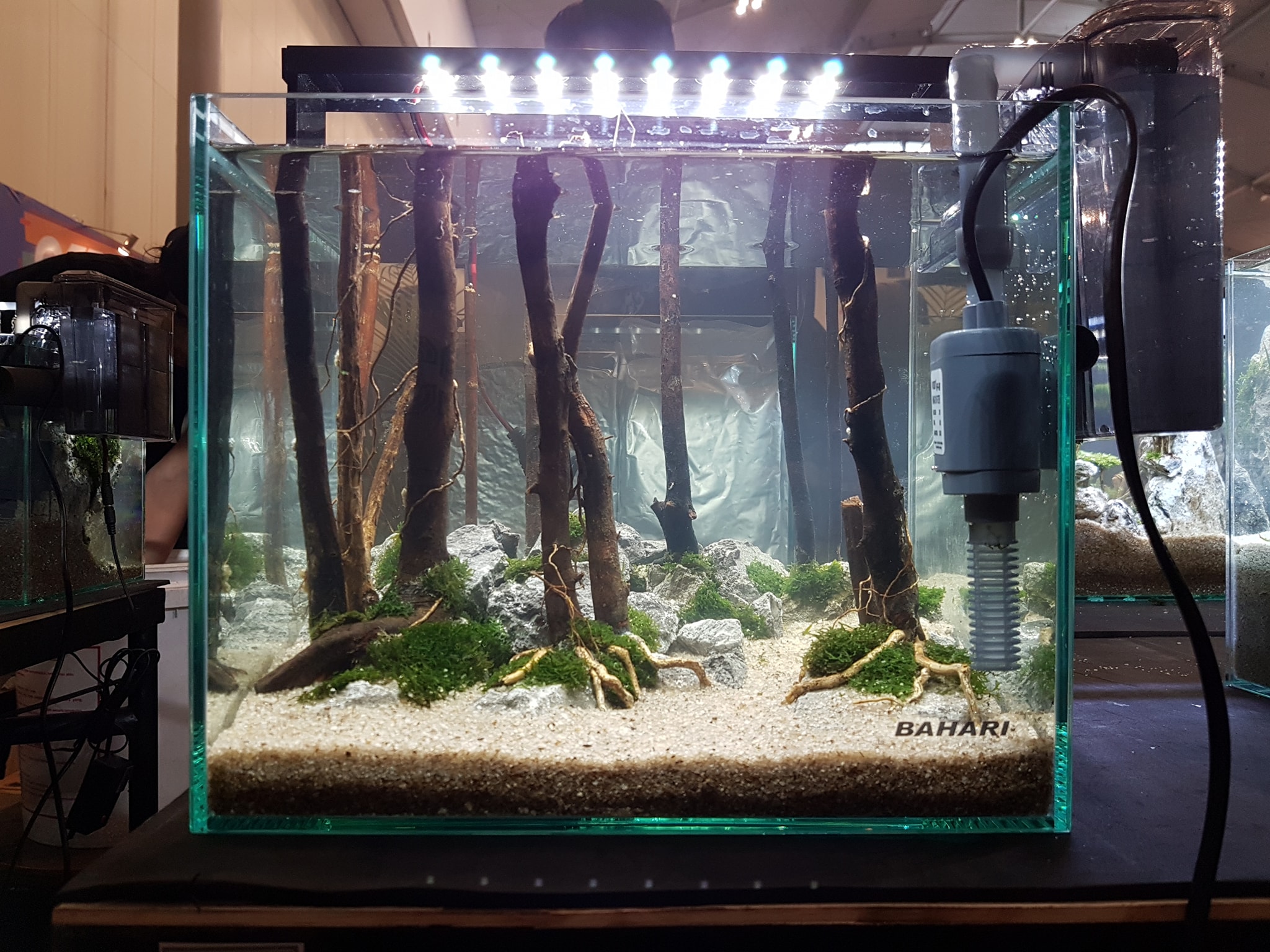 十大草缸经典造型,草缸的100种造型