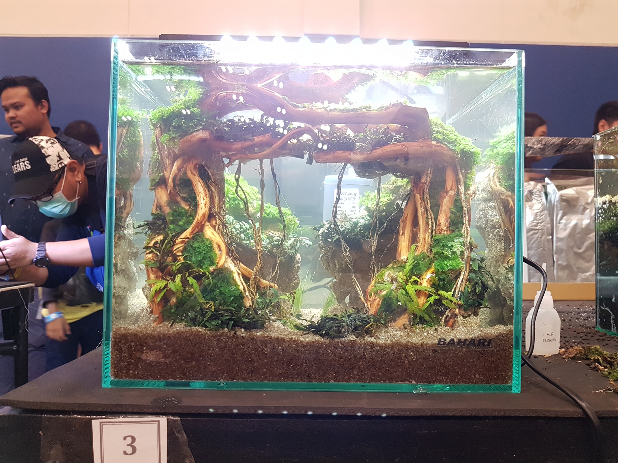 十大草缸经典造型,草缸的100种造型