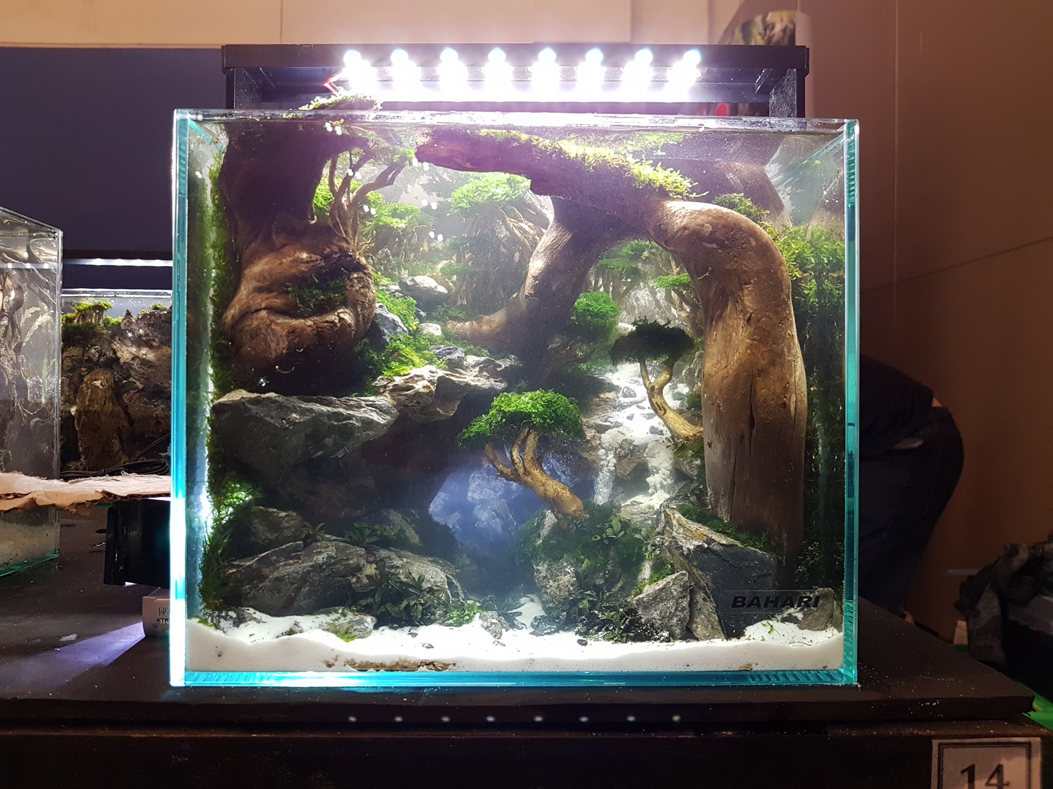 十大草缸经典造型,草缸的100种造型