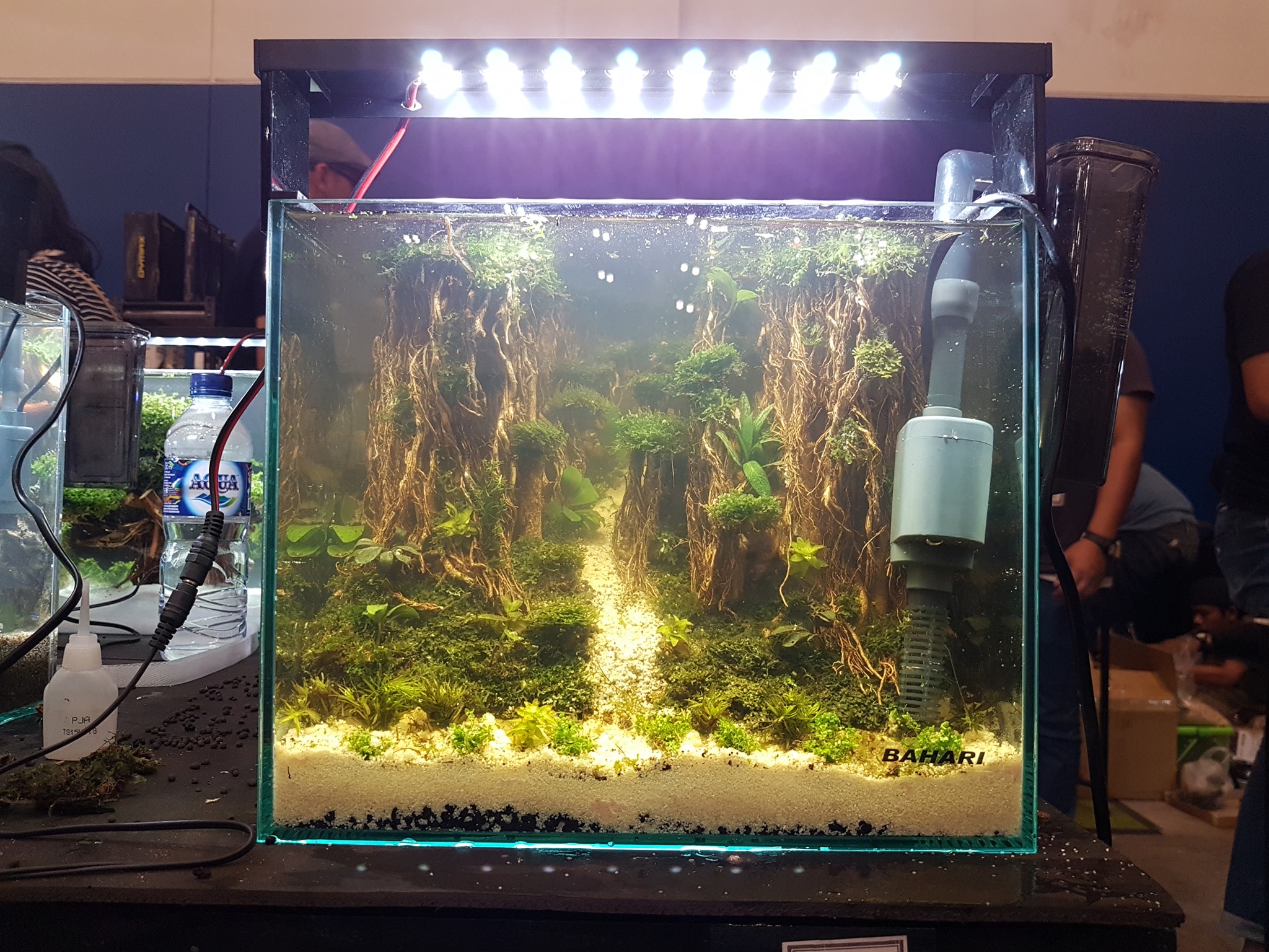 十大草缸经典造型,草缸的100种造型