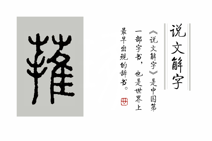 《说文解字》第53课：“茥”这个字，原来指这种适合男人吃的水果