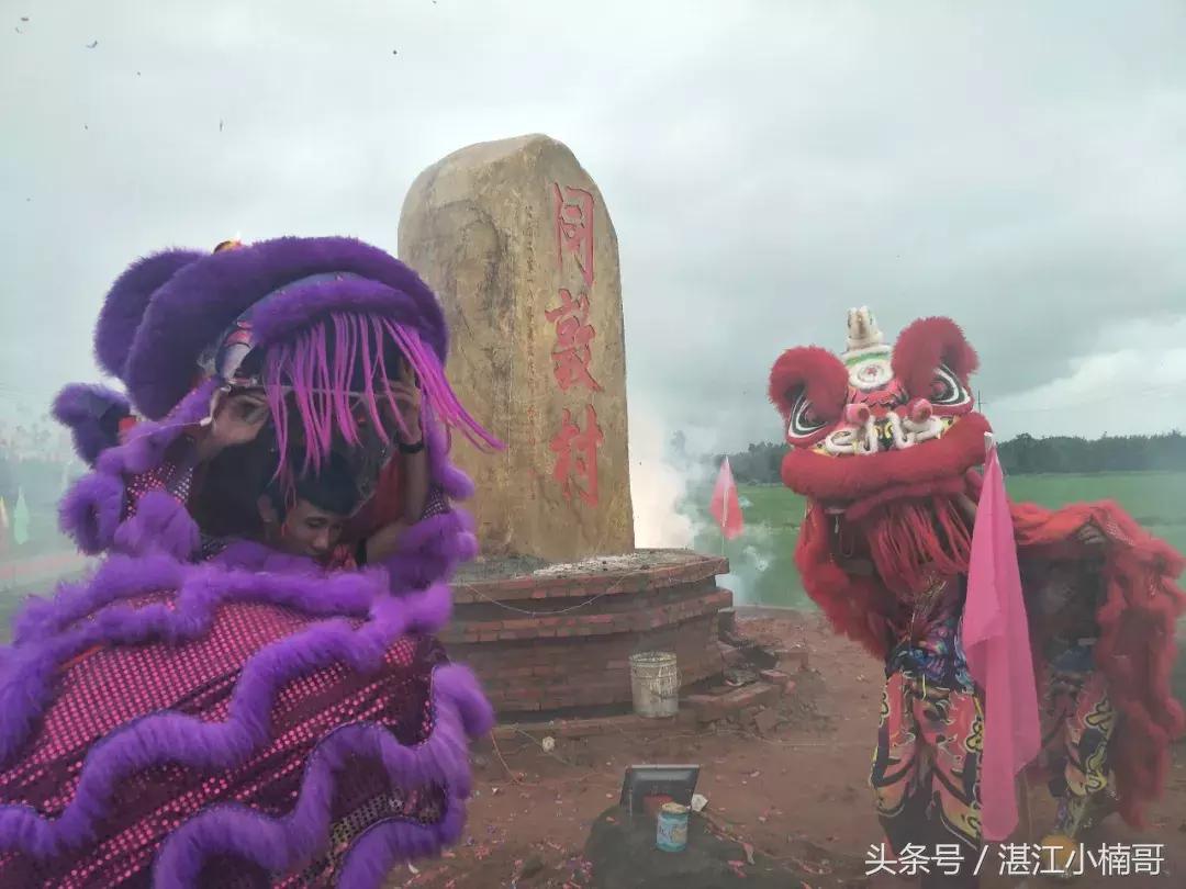 杨家镇安榄村外嫁姐妹回娘家聚会,雷州官茂村姐妹回娘家