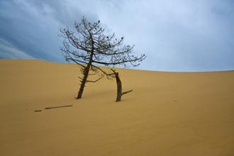 卡耐基人性的弱点精髓100句,卡耐基人性的弱点经典语录