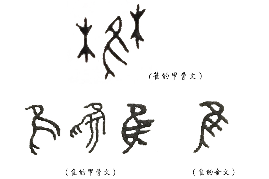 《说文解字》第53课：“茥”这个字，原来指这种适合男人吃的水果