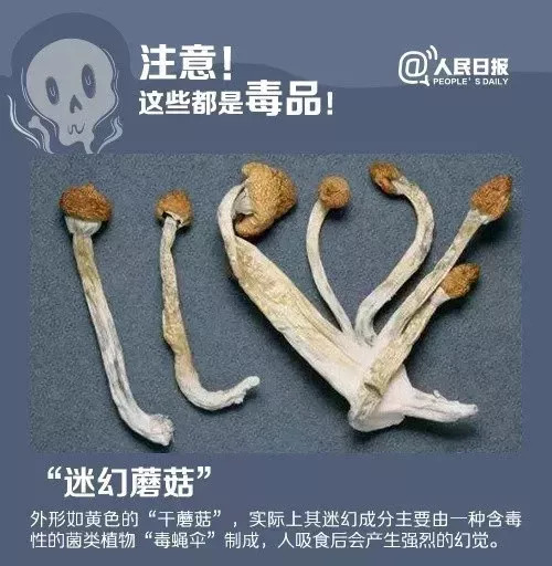 警惕丨新型*品毒**，危害是*洛因海**的1000倍！