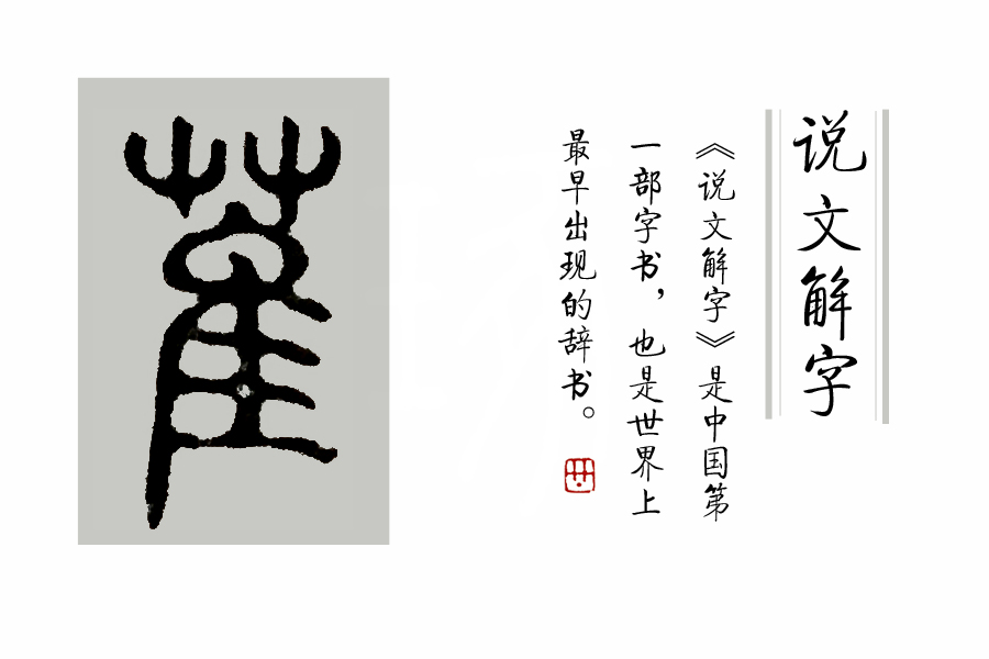 《说文解字》第53课：“茥”这个字，原来指这种适合男人吃的水果