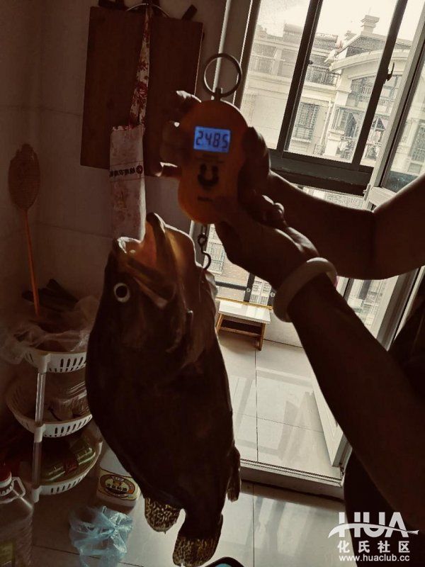 闲来游钓山水间，野塘子里上奇货！