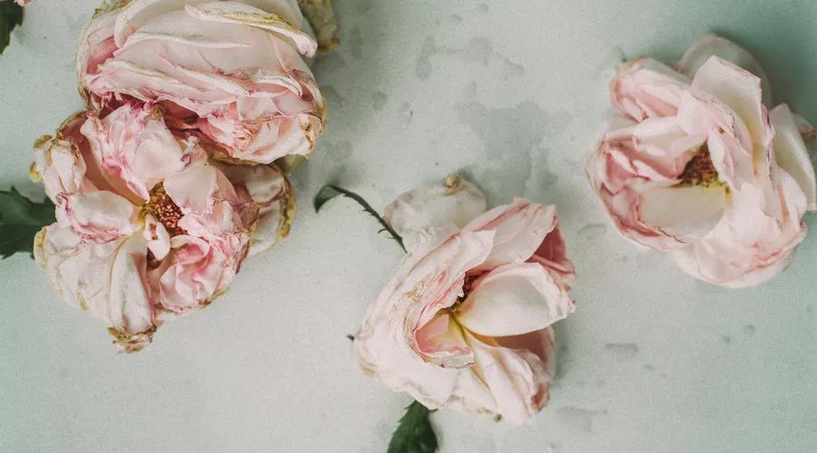 抗癌荆棘路,一位癌症患者的神奇康复之路