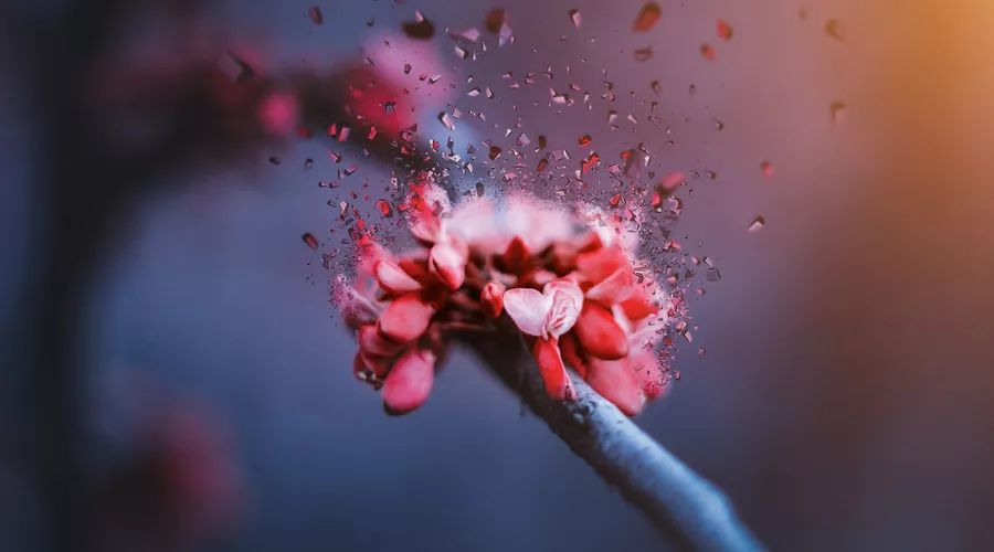 抗癌荆棘路,一位癌症患者的神奇康复之路